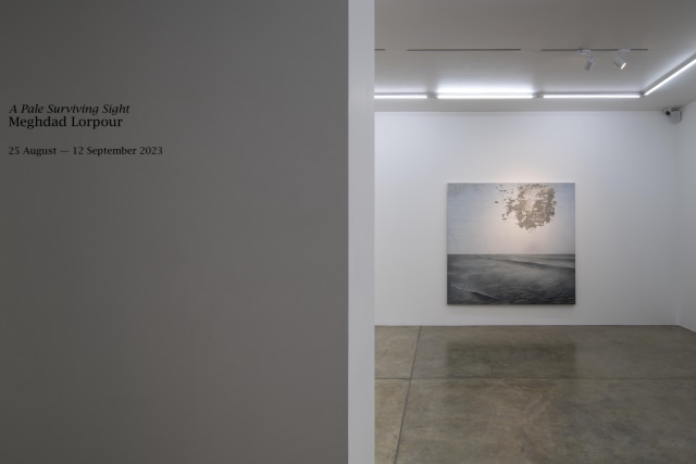 Installation View of A Pale Surviving Sight, at 009821 Projects