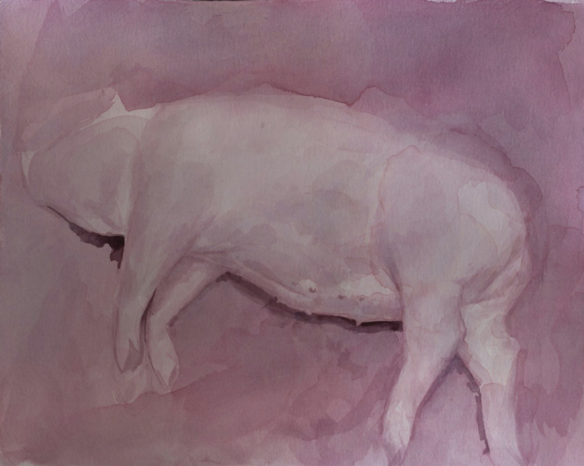 Mirmohamad Fatahi, Body in Pink, 2017