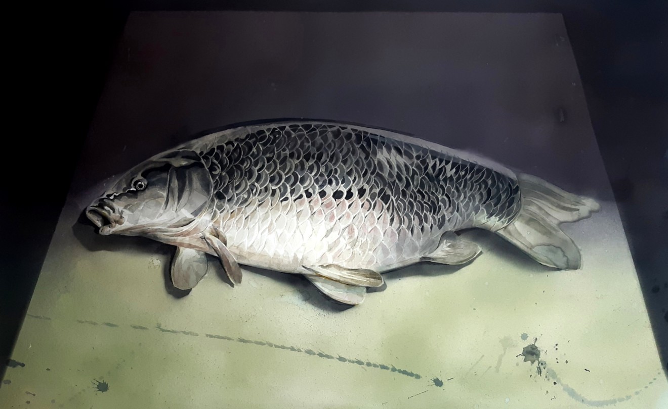 Mirmohamad Fatahi, Dead Fish (Body in Black), 2020