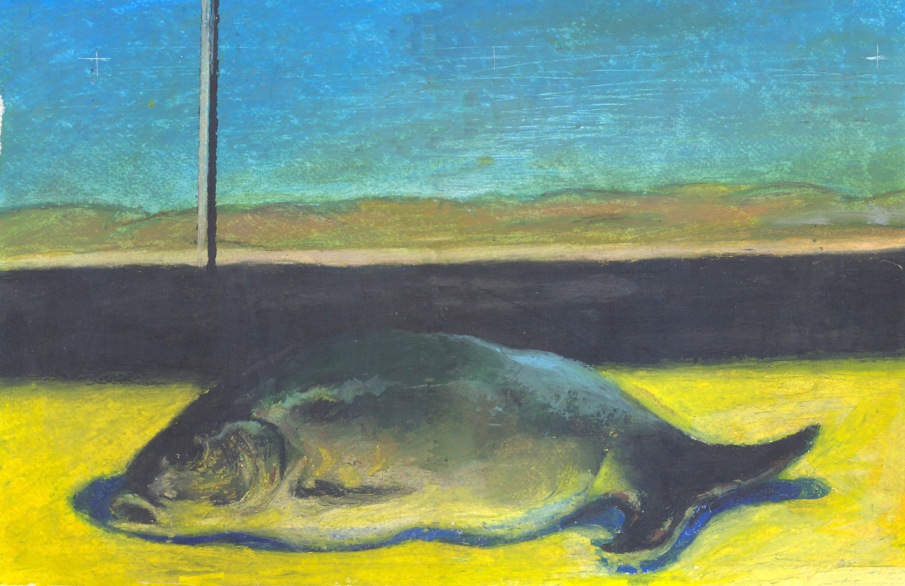 Mirmohamad Fatahi, Dead Fish, 2018