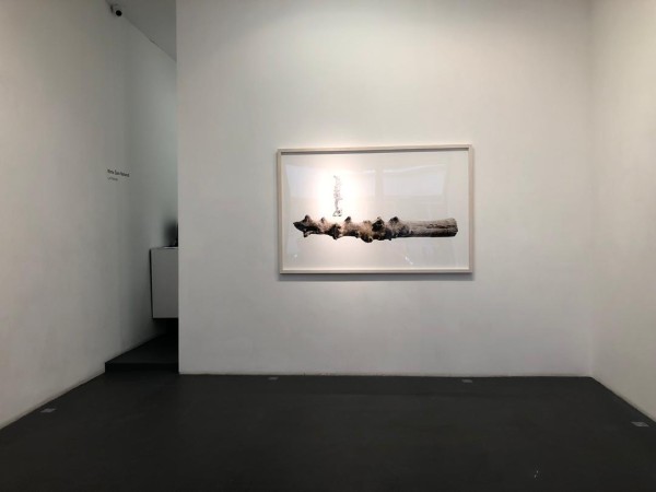 2019 Nima Zaare Nahandi Le Premier Galerie Nathalie Obadia Installation View Lowres 1 Photo 2019 03 14 18 38 51 2