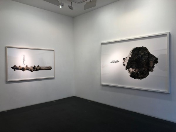 2019 Nima Zaare Nahandi Le Premier Galerie Nathalie Obadia Installation View Lowres 2 Photo 2019 03 14 18 38 51 3