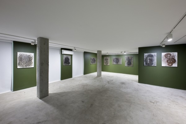 1398 2019 Mehrdad Pournazarali Palimpsest Some Untitled Drawings Dastan S Basement Installation View Lowres 03 503A8490 Copy
