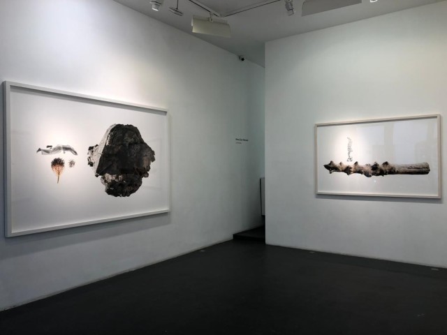 Nima Zaare Nahandi | 'Le Premier', Galerie Nathalie Obadia
