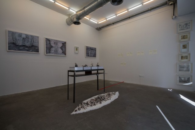 Behnaz Fatemi | 'Residue', Electric Room 08/50