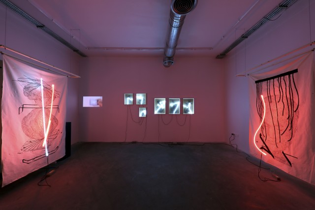 Saman Khosravi | 'Shared Genes', Electric Room 24/50