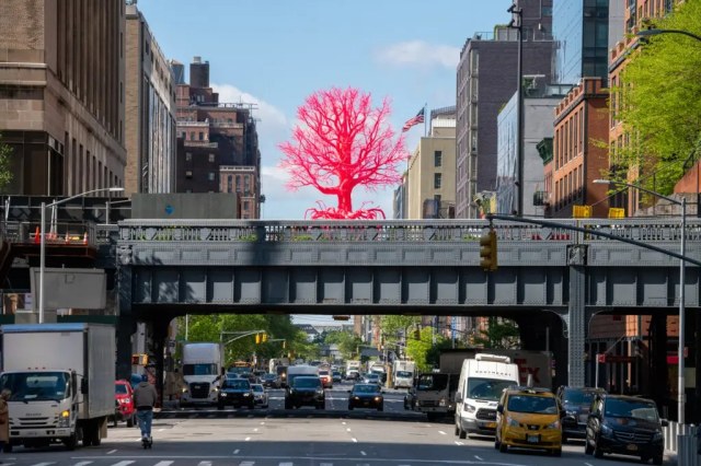 Photo: Timothy Schenck, Courtesy of High Line
