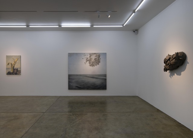 Installation View of A Pale Surviving Sight, at 009821 Projects